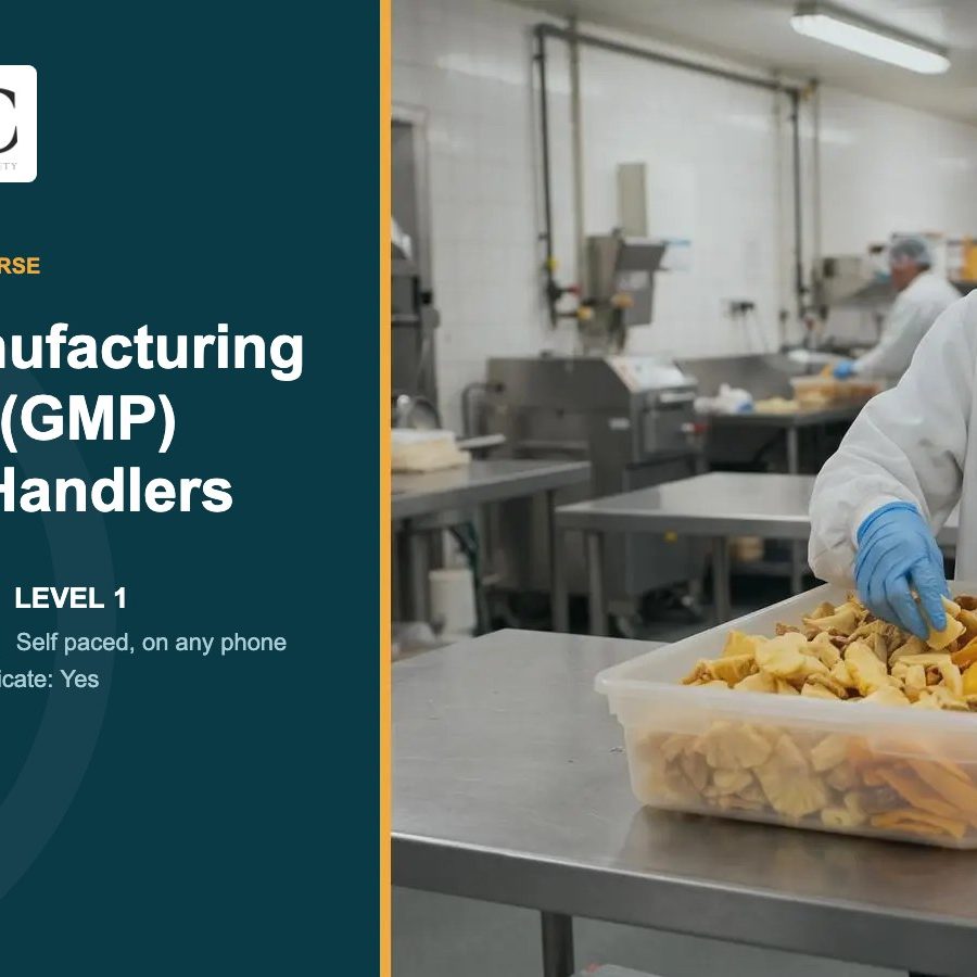 Food handler in a white coat, hairnet and blue gloves sorting dried fruit in a food factory, cover for the accredited GMP for Food Handlers course FS55 Food handler in a white coat, hairnet and blue gloves sorting dried fruit in a food factory, cover for the accredited GMP for Food Handlers course FS55