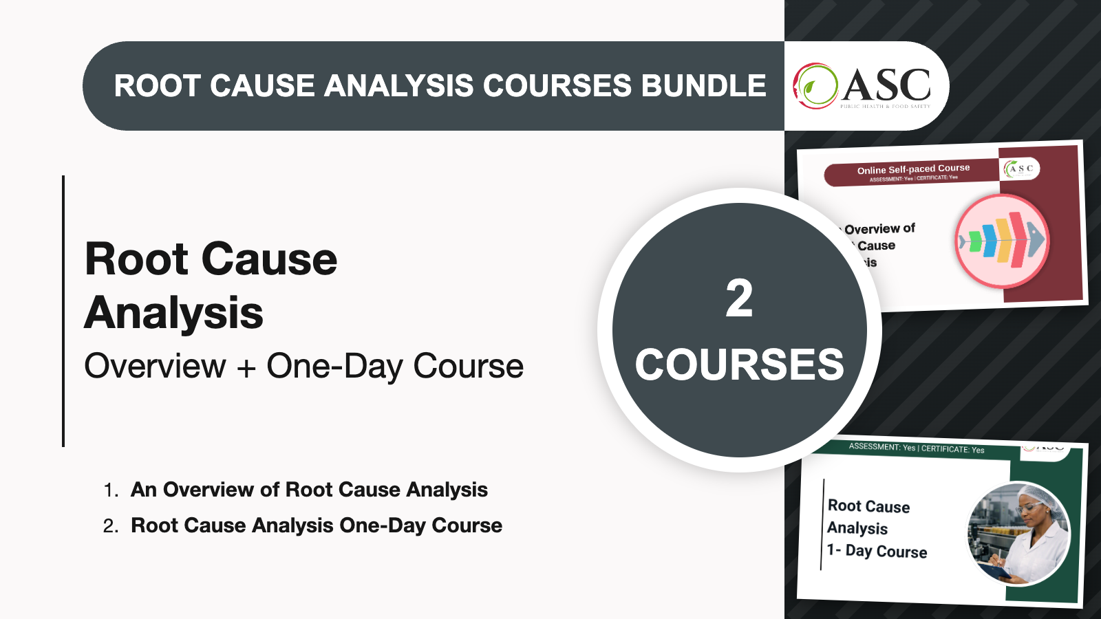 Root Cause Analysis Courses Bundle: Overview and One-Day Course