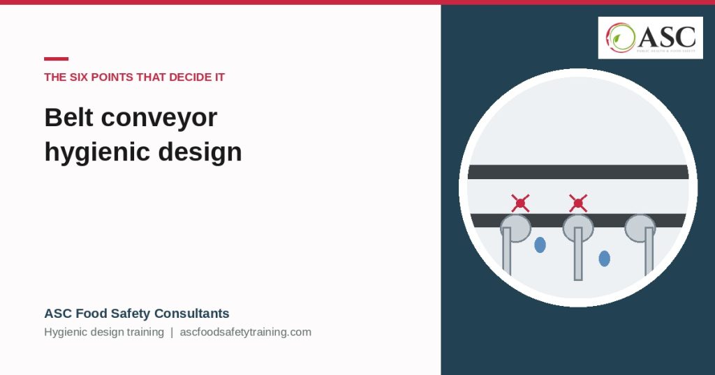 Belt Conveyor Hygienic Design: The Six Points That Decide Whether It ...