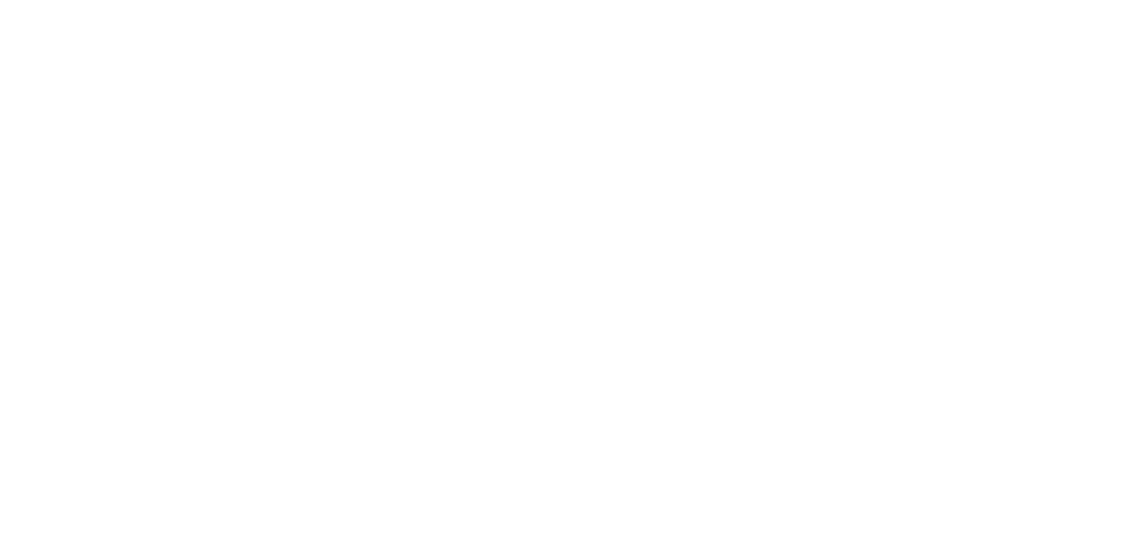 Spur Corporation